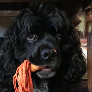 Meet your Posher, Andy